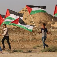 palestine-gaza.jpg